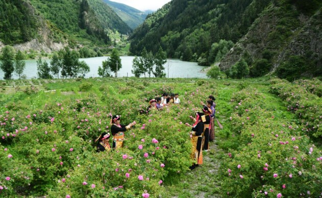 小金县扶贫,小金助力三农