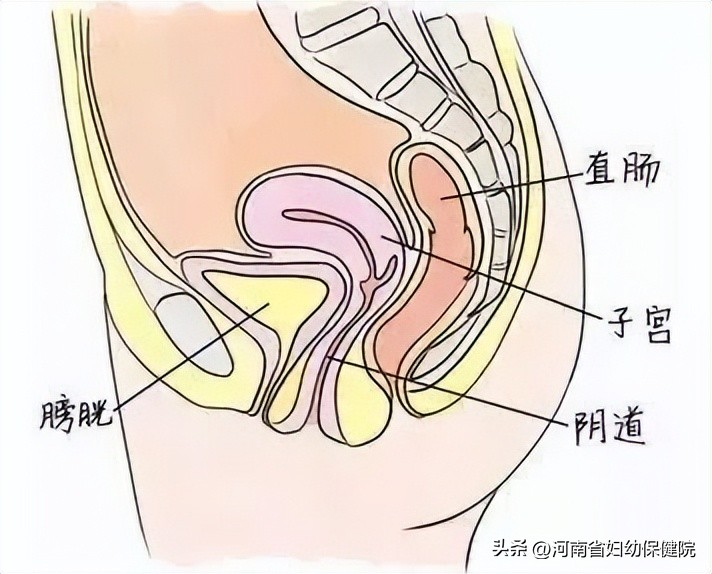 孩子有几种情况赶紧就医,家中有女孩的家长注意什么