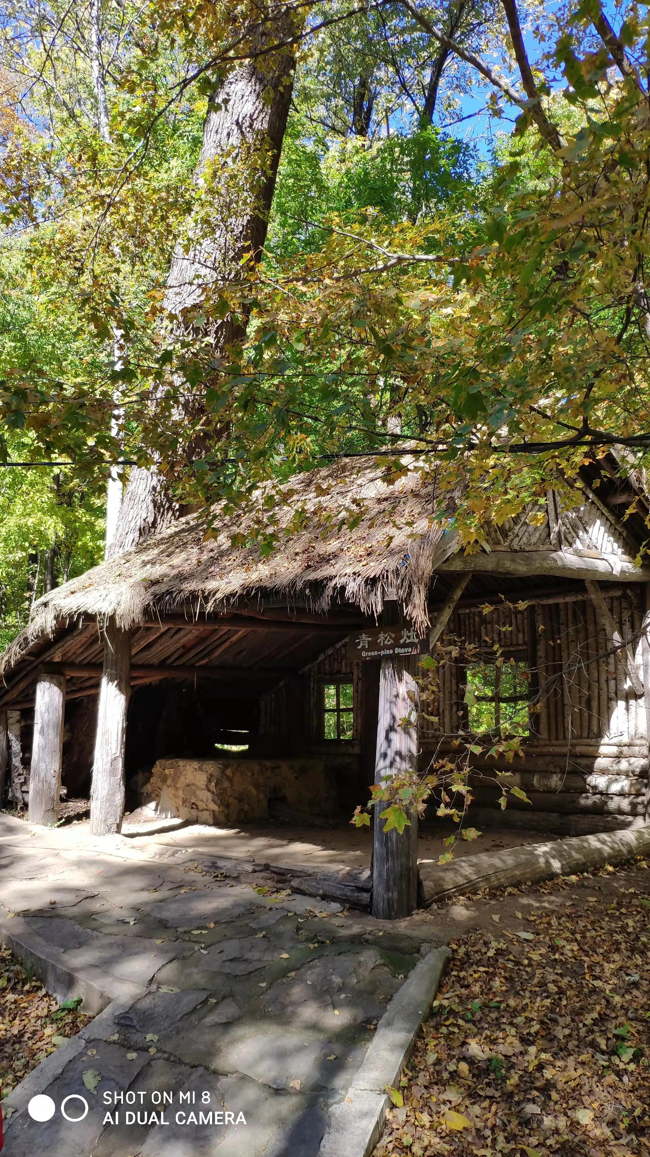 平心静气去拜道观还是寺庙,平心静气放松