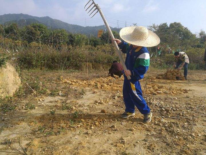 现在农民打工好还是在家种地好,回农村种地能赚钱吗