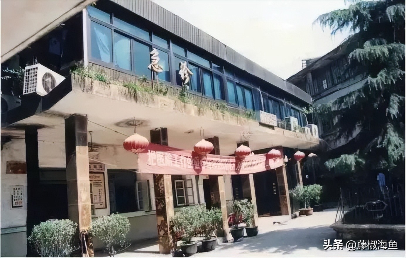 20年前的温州是什么样的,十几年前浙江温州的回忆