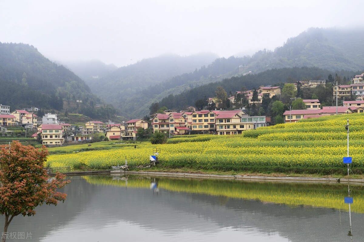 陆玉梅壬寅春日诗词/春在城南芳草路，人来陇上杏花天