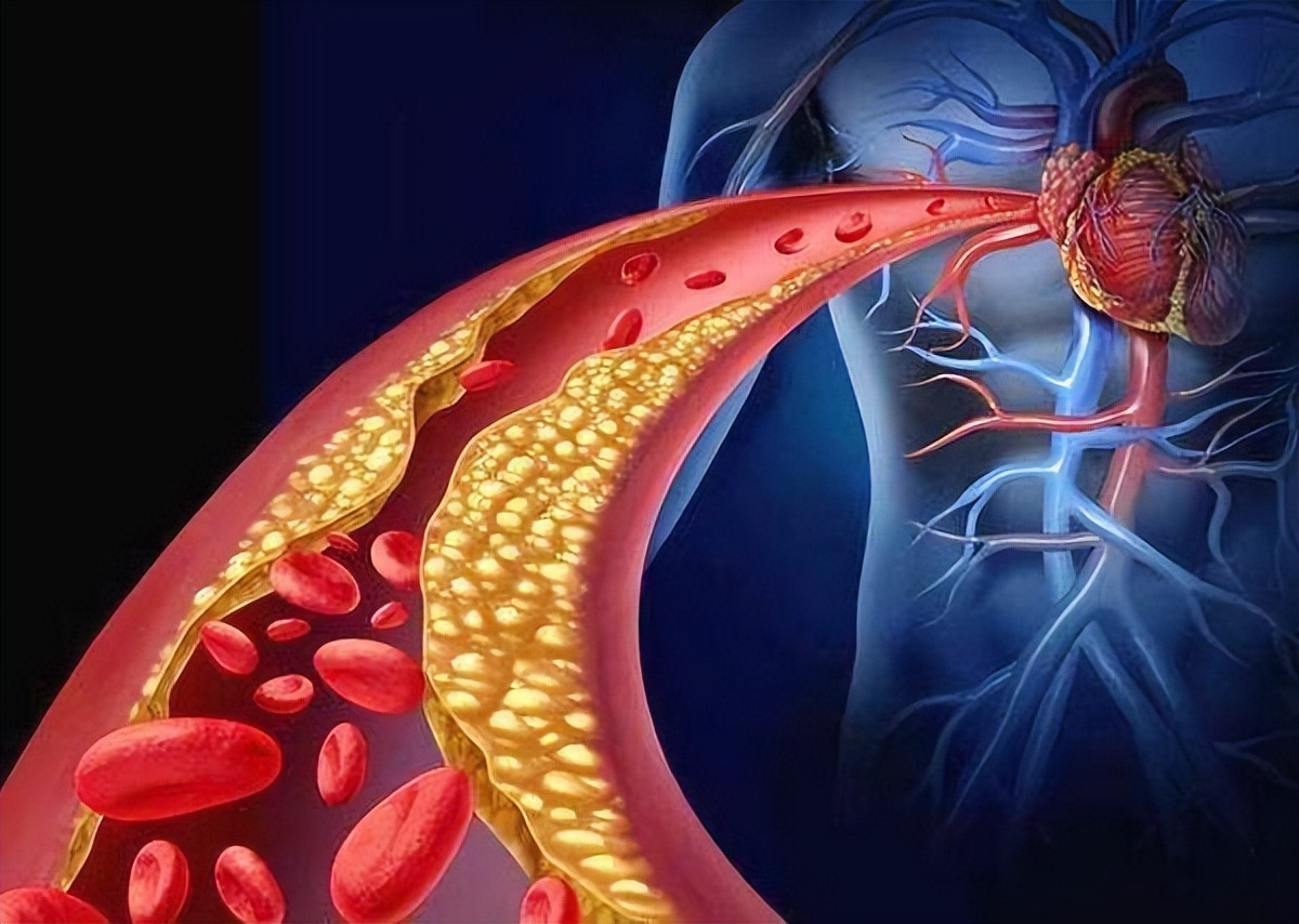 a型b型o型ab型哪种血型的人更长寿,血型a型b型o型ab型的依据是什么