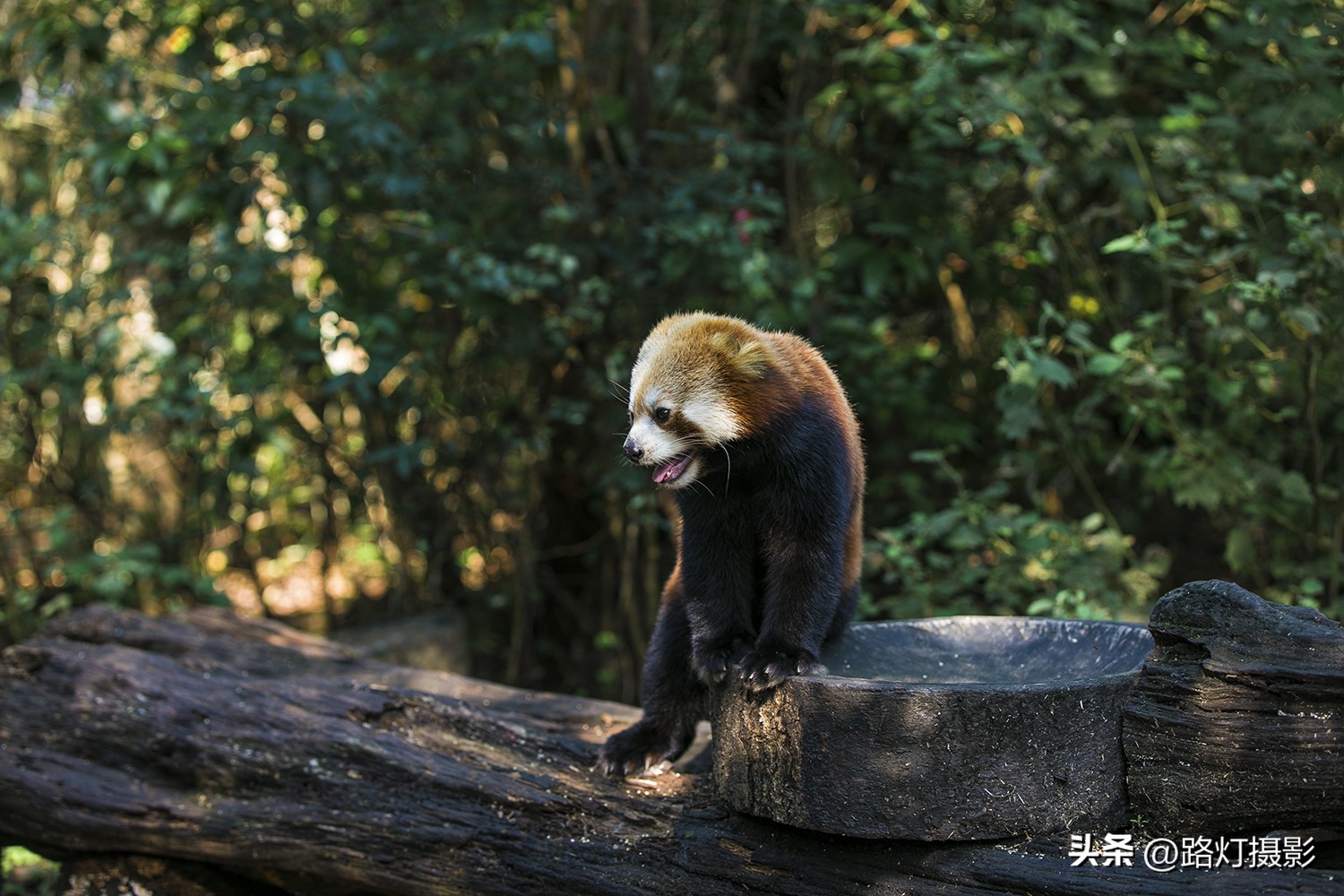普洱与昆明谁更适合养老,普洱和弥勒哪个更适合养老居住