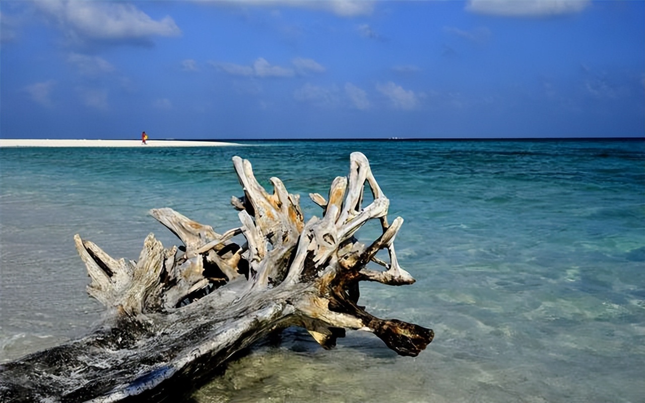 世界著名的6*禁大**区,不管你是何种身份,都不能进入