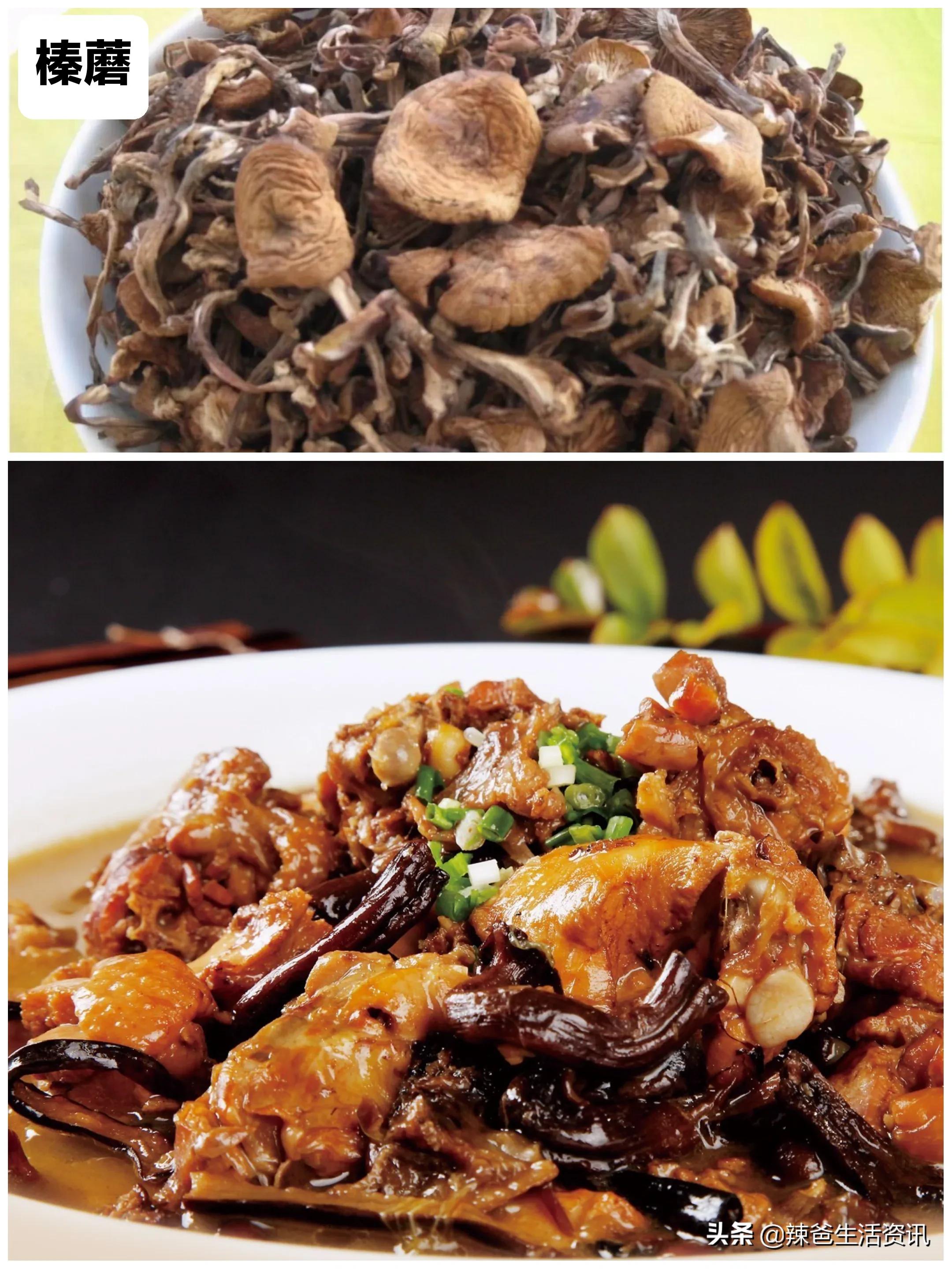 100种食用蘑菇大全,蘑菇的12种最佳吃法