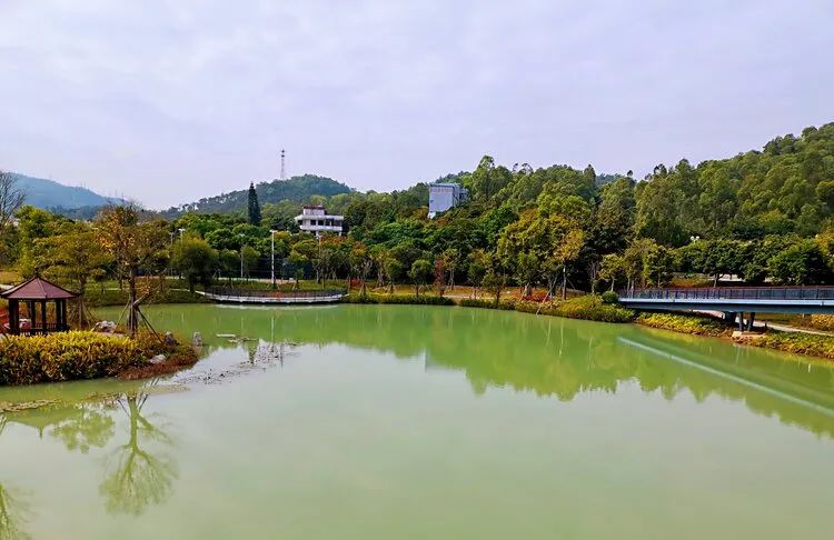 广州出发-中山2天游，打卡银坑逍遥谷+*钟金**湖公园+采摘荔枝