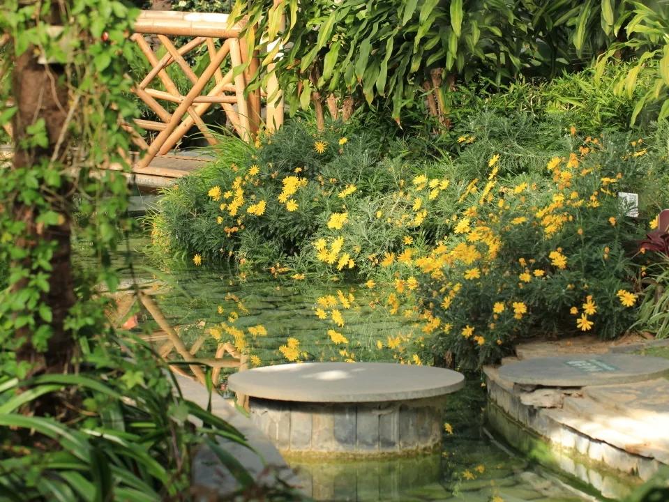 北京植物园的赏花的最好时节,西山秘境惊艳北京的植物