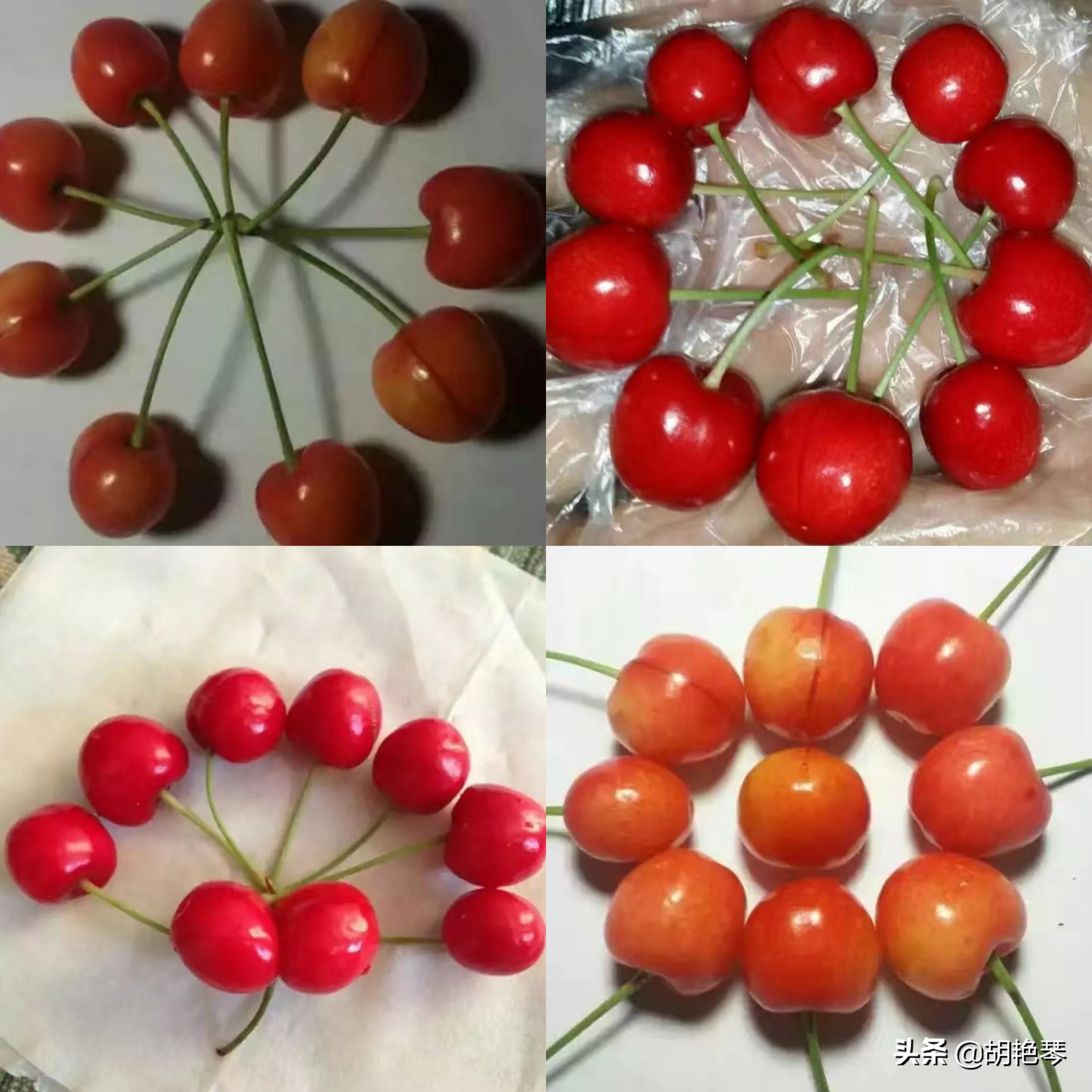 又是一年樱桃红，8首诗词，看红珠点点，忆似水流年