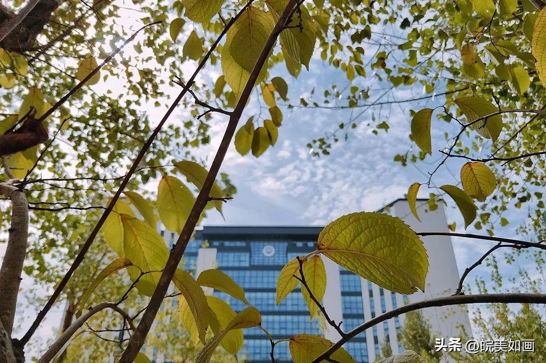安徽大学好看的风景,高校最美秋景