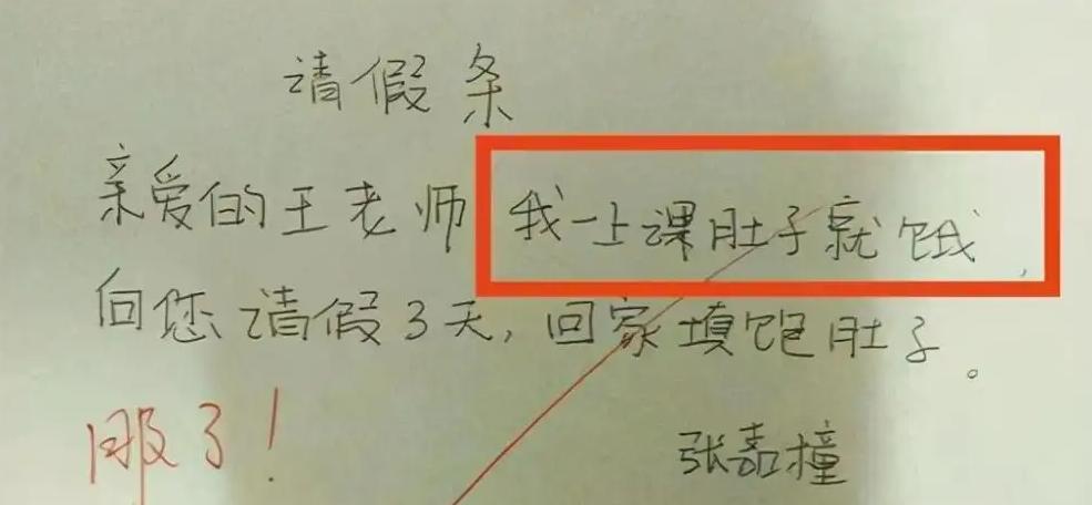 揭秘小学生奇葩写请假条,小学生奇葩请假条