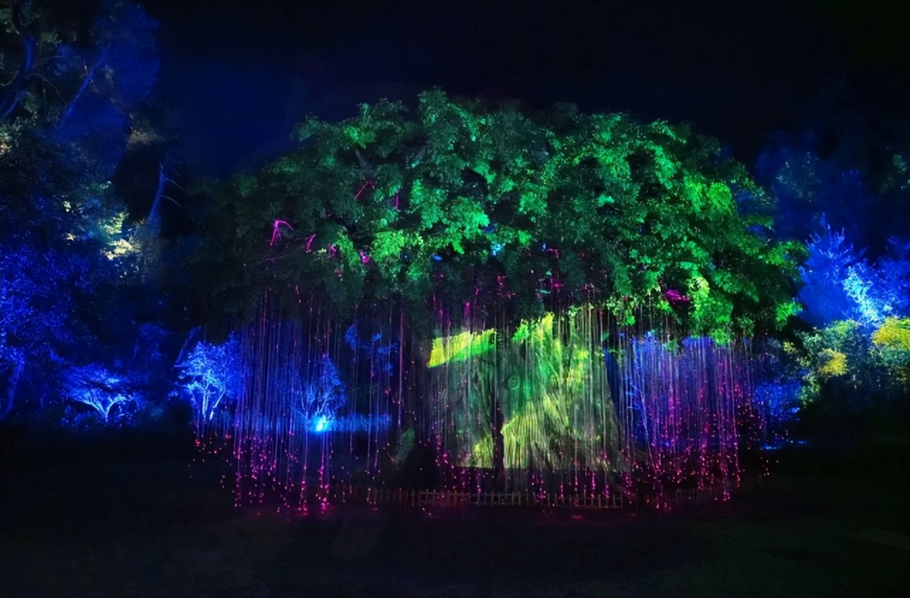 自驾去黄山路线攻略,夏季黄山自驾5条绝美路线攻略