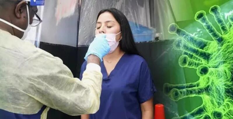 新马来回应该准备多少钱,新马费用