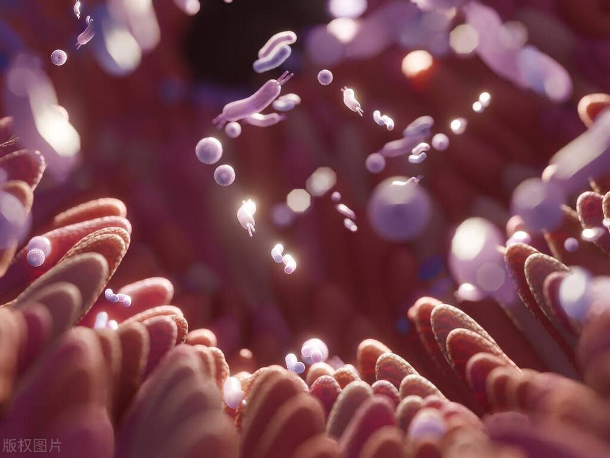 渴望亲密关系但又不知所措,夫妻无肉不欢双双查出直肠癌