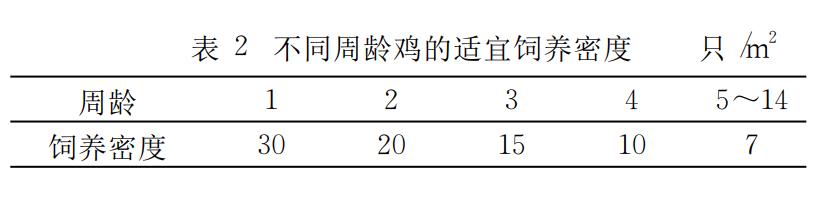 珍珠鸡育雏需要什么条件,育雏珍珠鸡怎么分公母