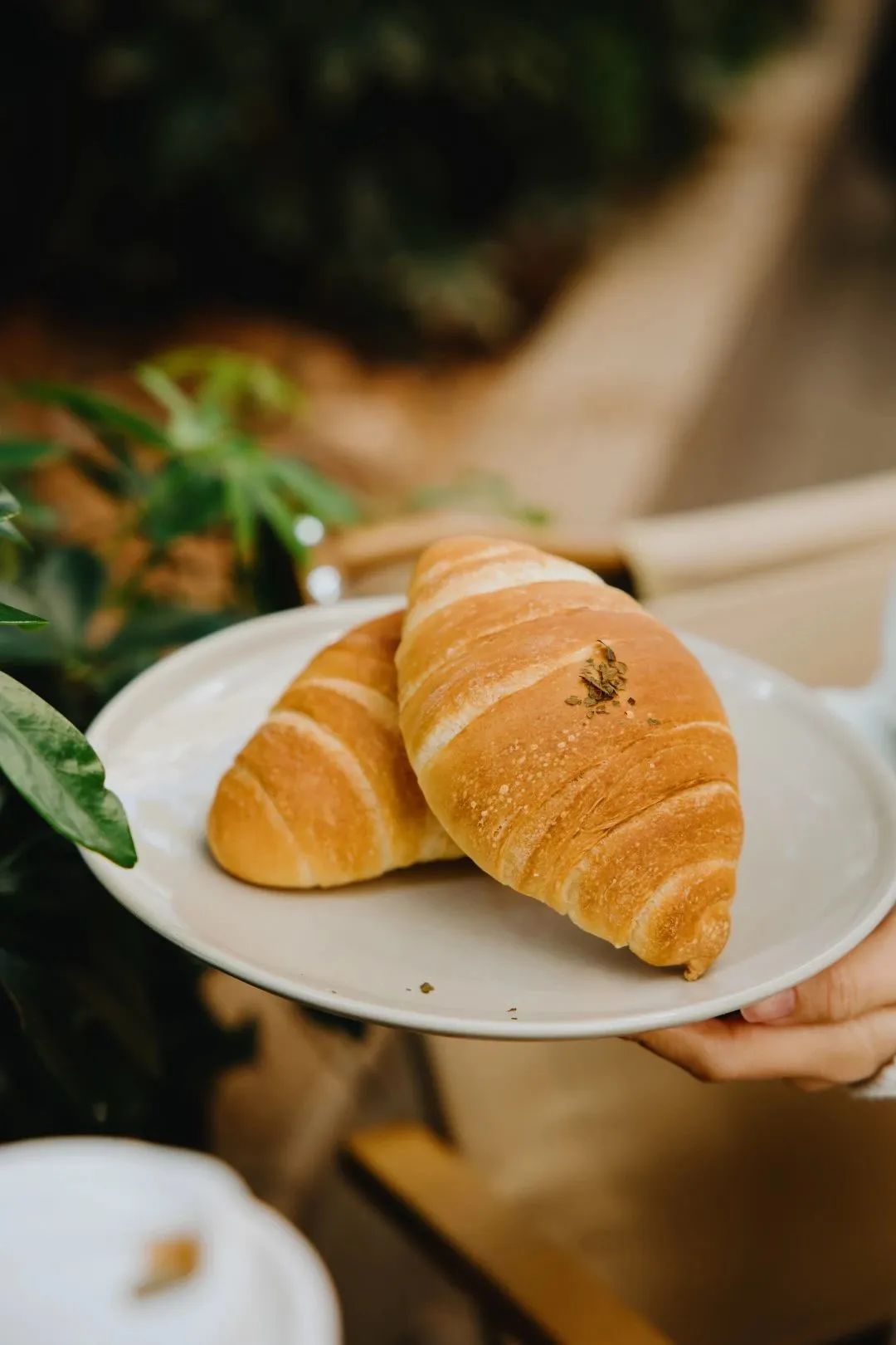 “面包脑袋的天堂，藏在东山口博物馆里”