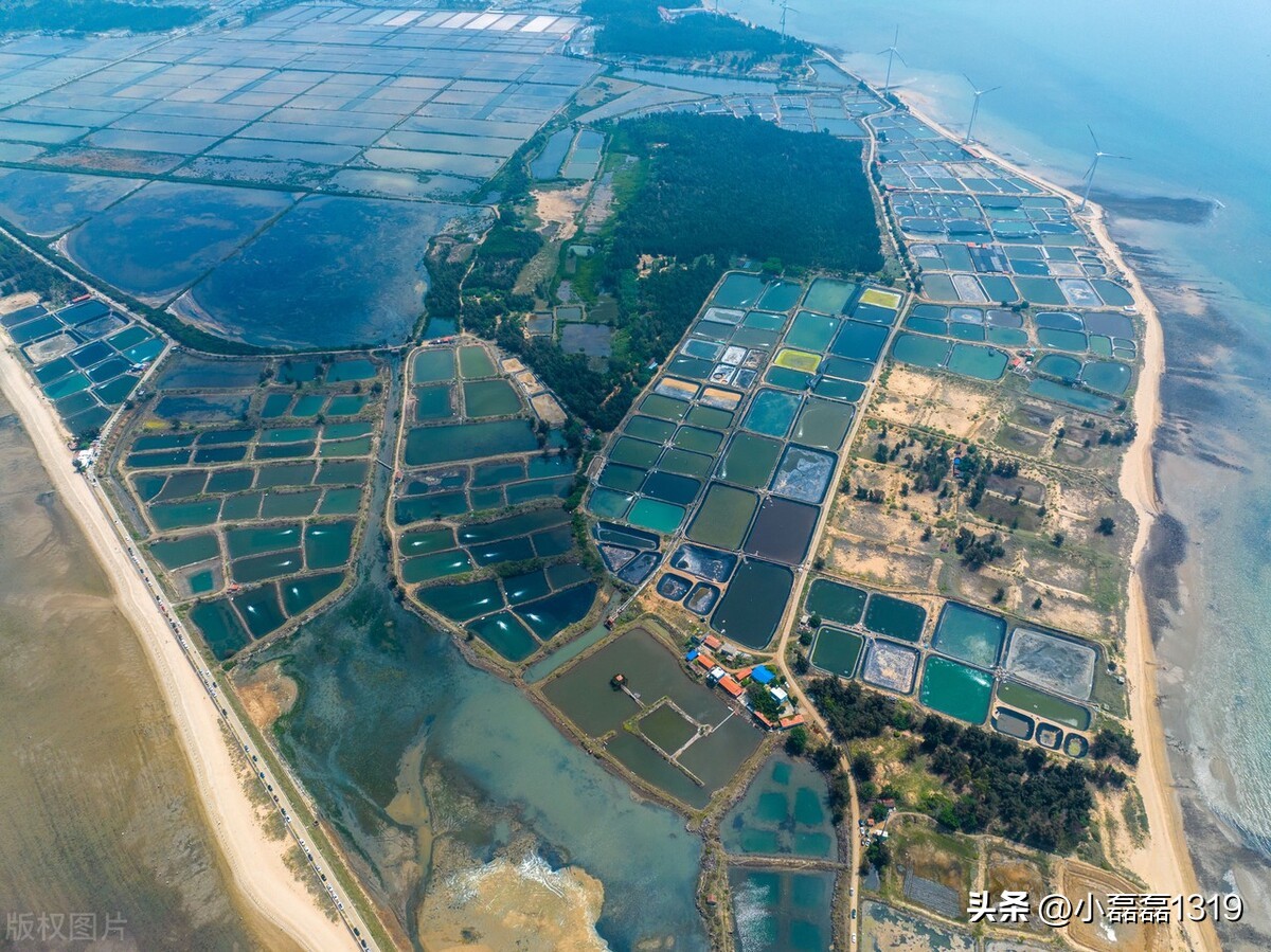 适合周末打卡的旅游推荐,夏日旅游小众地方推荐