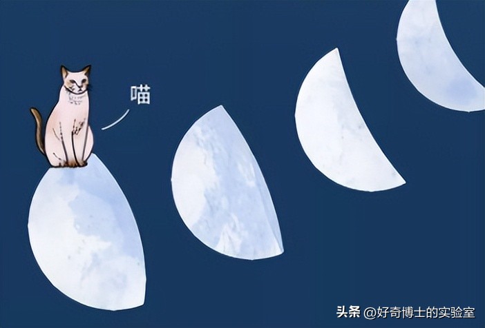 动物是怎么飞起来的,动物怎样飞行时感觉方向