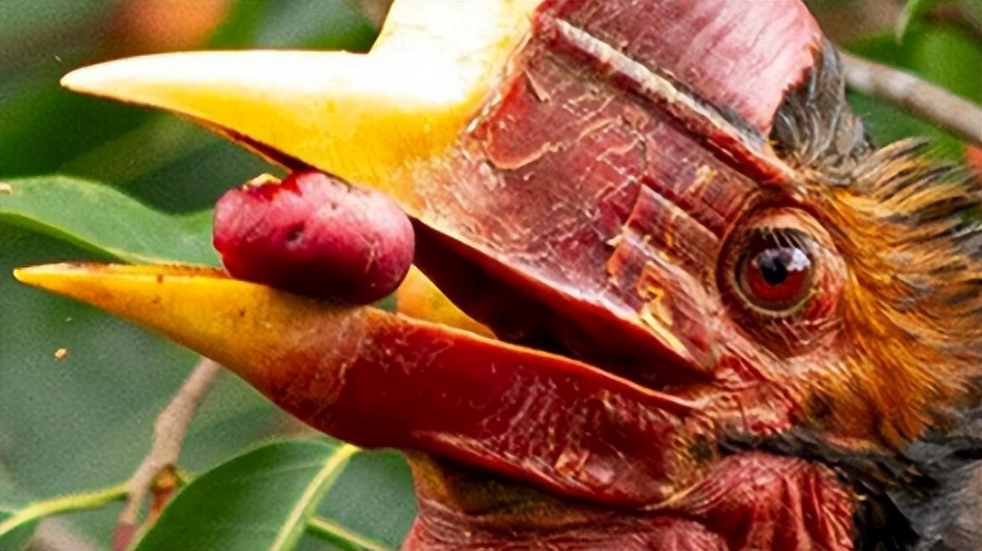 买饰品后被判刑,昆明一女子购买吊坠被判十年