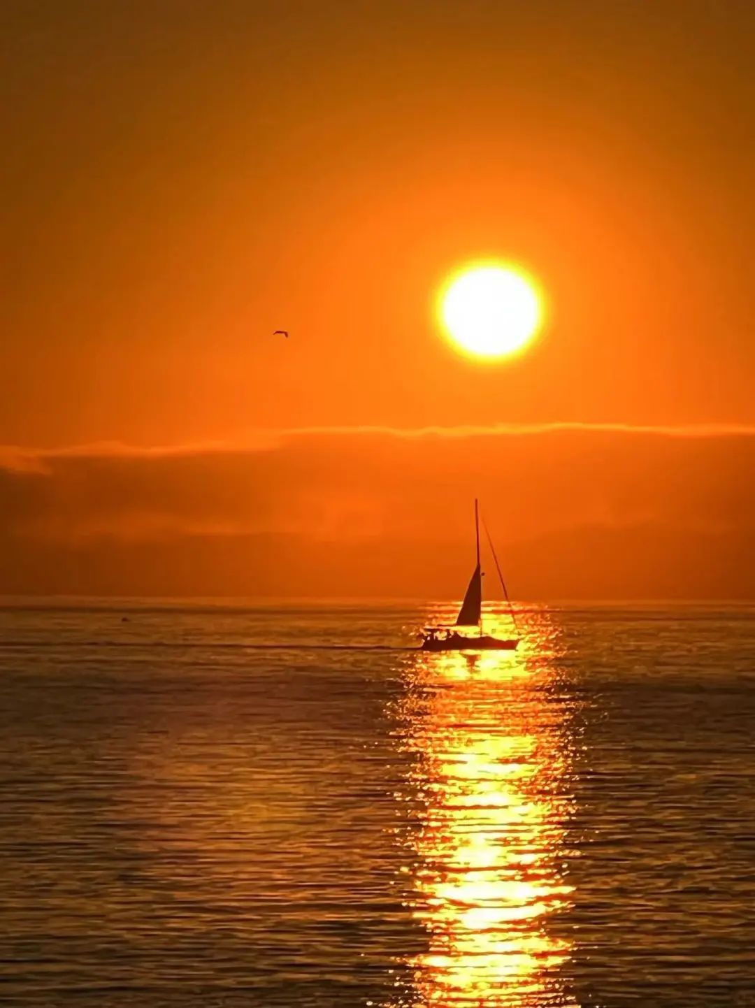 Moments｜创业者的2022：Recharge，劫后新生，海葵复苏了