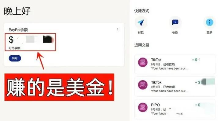 个人tiktok跨境电商真的赚钱吗,tiktok跨境带货能做吗