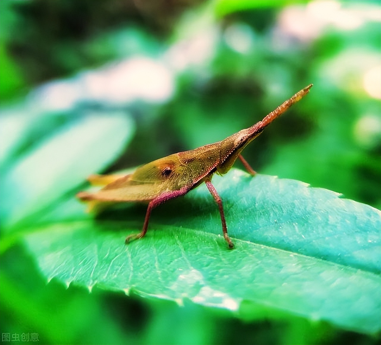 影响世界十大科学人物,影响世界的10位科学家牛顿