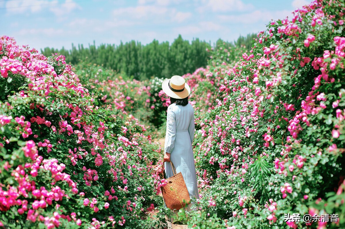 和有些人相处给人一种舒服的感觉,如何和永远认为自己对的人相处