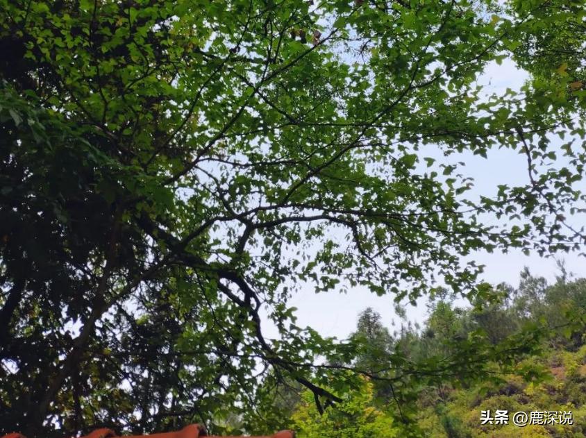 开公司丈夫出轨,开公司的老公出轨怎么办