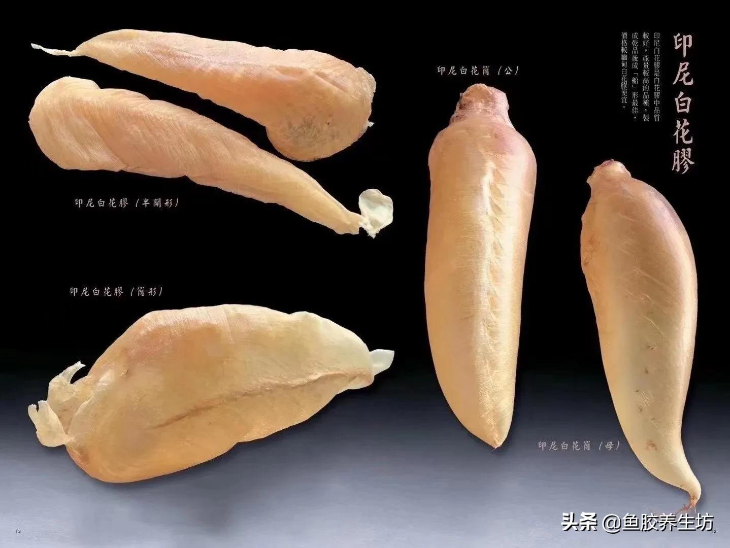 白花胶功效解说图片,养殖白花胶的功效与作用