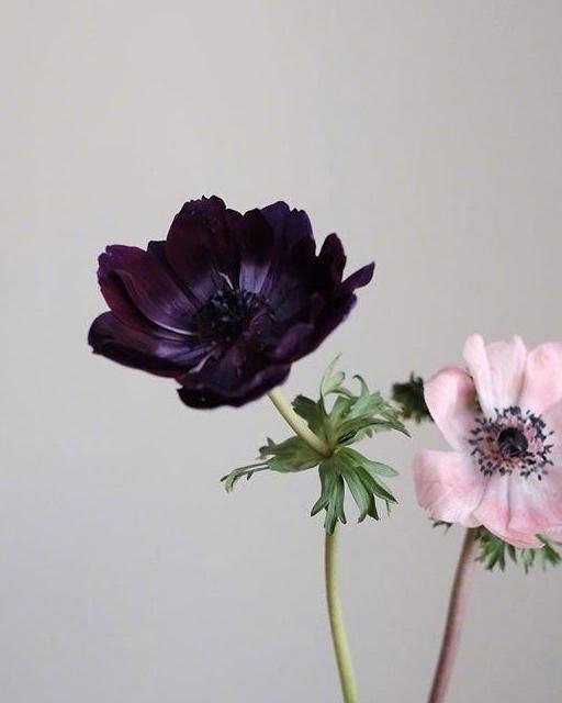 走到哪里都是气氛组,走到哪里都是一个人习惯了孤独