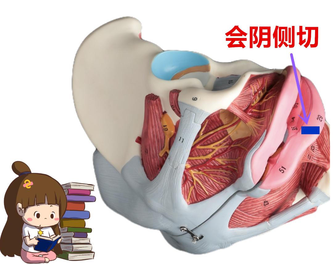 顺产有风险还是剖腹产有风险,顺产还要挨一刀的说说