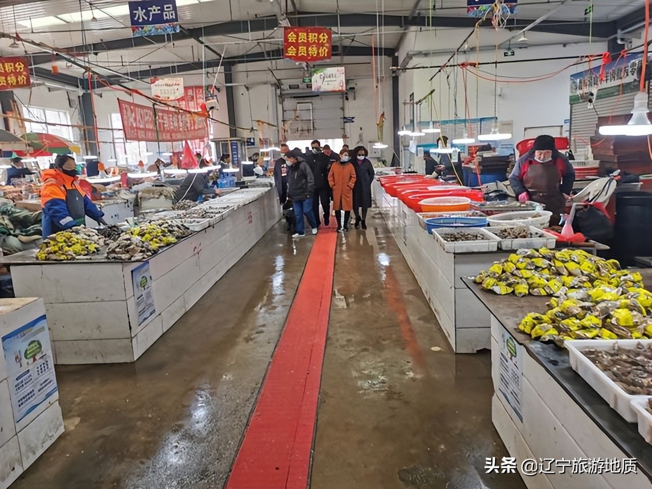 锦州哪的海鲜便宜又实惠,锦州便宜的海鲜市场