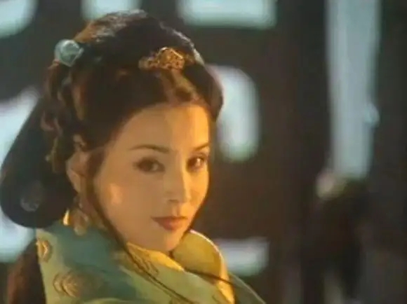 赵飞燕吃的息肌丸,赵飞燕的息肌丸是不是雌激素