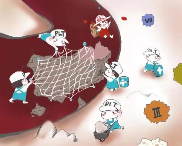 医械从业人员，需要了解点医学知识（12）：​凝血功能检查