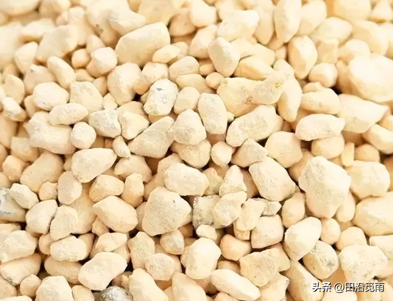 松树盆景土配制方法,黄杨盆景土配制方法