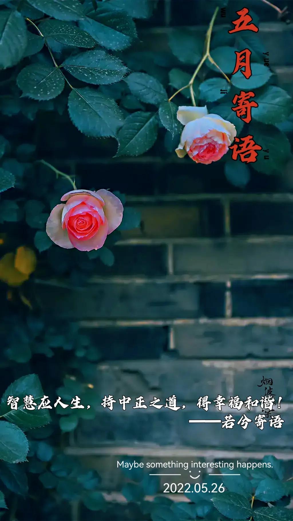 修心之道修身之道修世之道,人生智慧立身之道