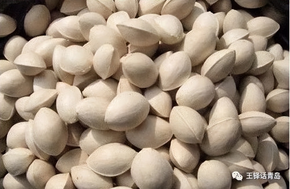 王铎回忆录《一蓑烟雨》219：十四、野性星空：从打棒球到剥白果