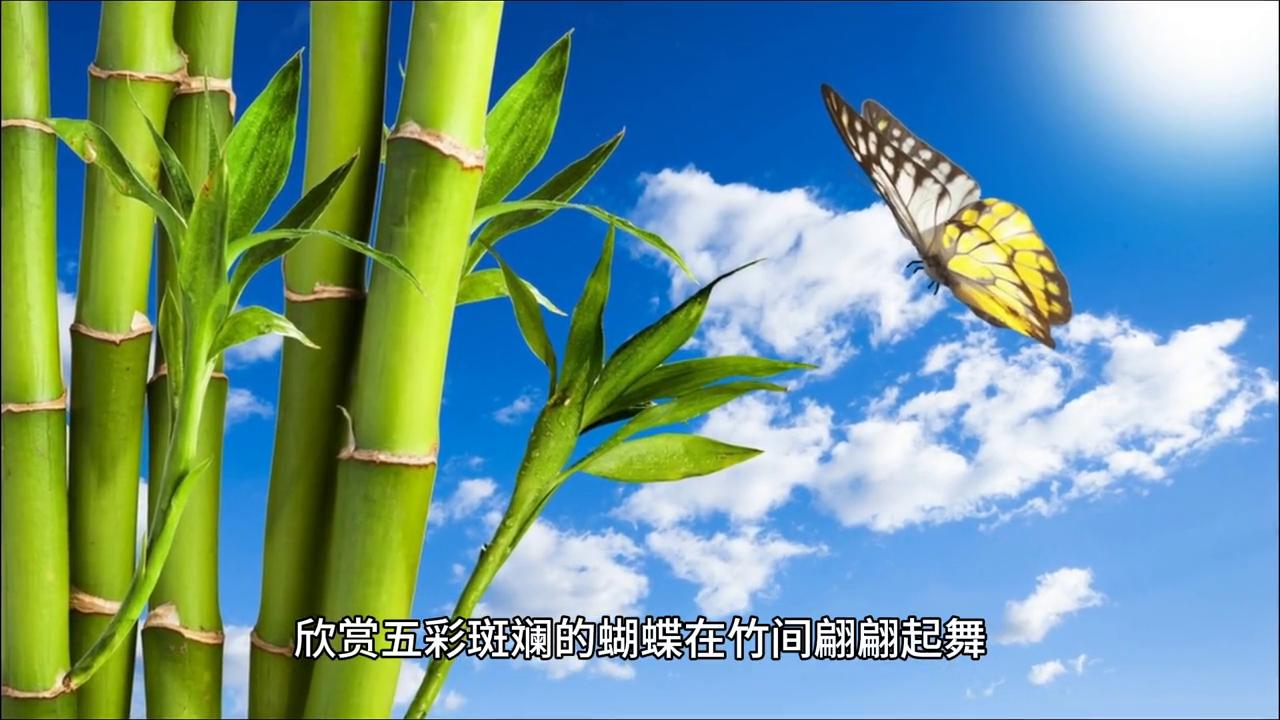 民间故事,民间故事正能量