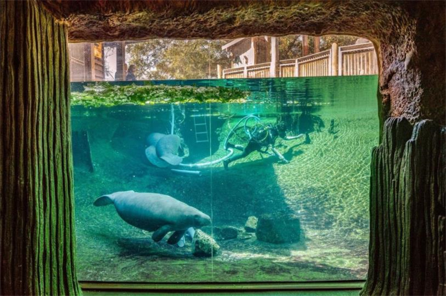 美国女人的收藏品，全美服装比赛上的佳丽，40张照片带你看全球