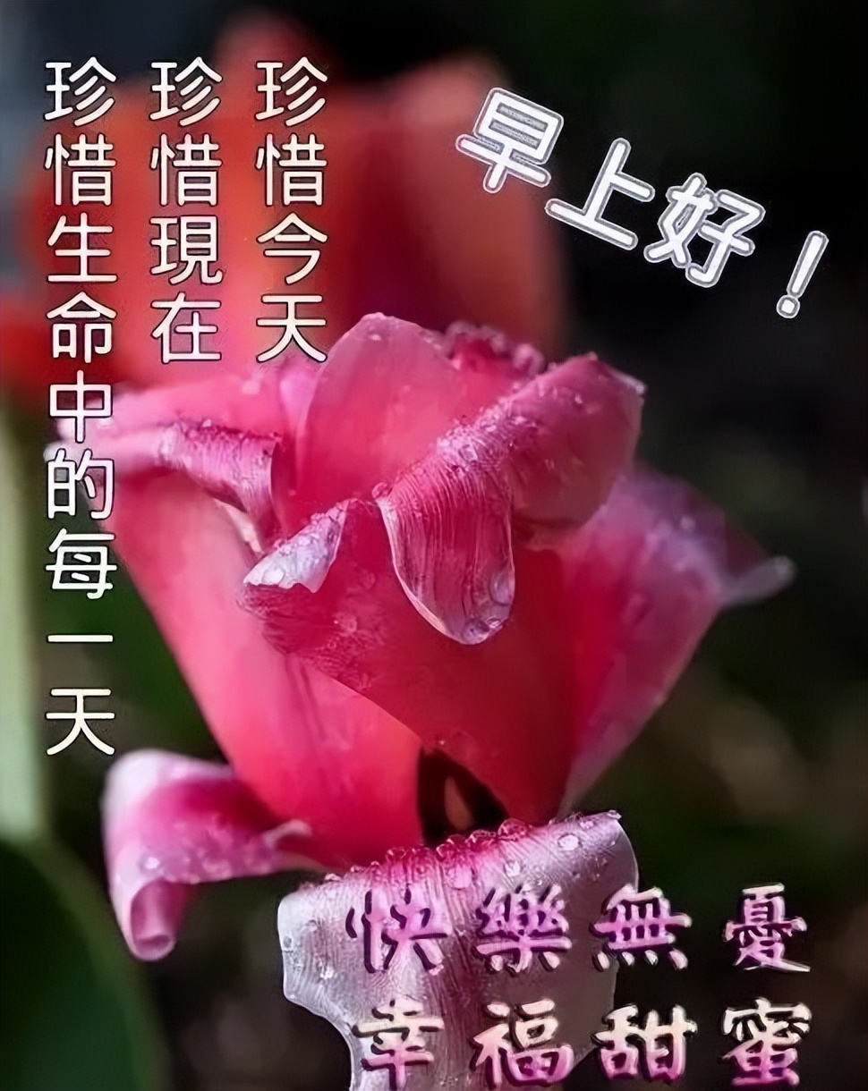精美早上好问候语图片带字图文,文字中加带表情包的早上好问候语