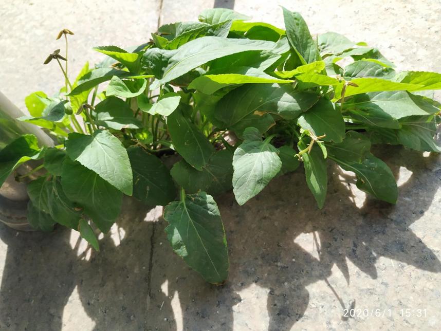 美丽校园行-2|历史生眼中的天津师范大学主校区