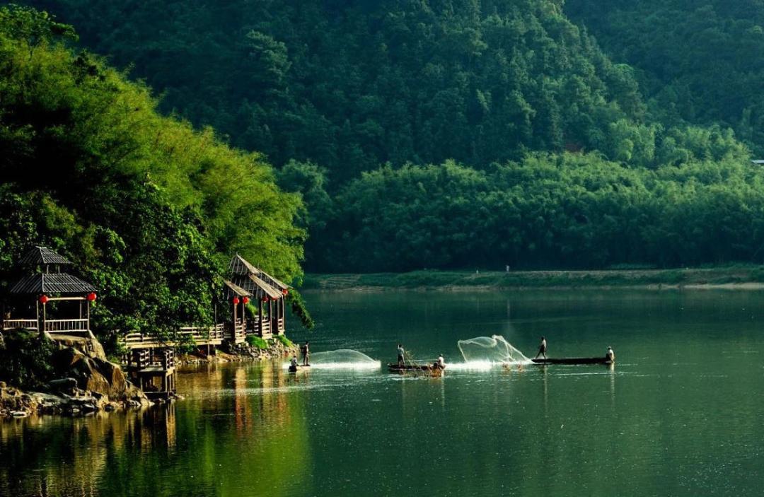 广东广宁深耕竹产业促进绿色发展,广宁县国际竹产业创新发展