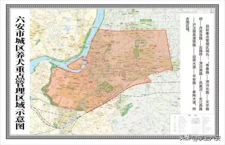 上海养狗有必要上牌吗,台州养狗上牌登记点