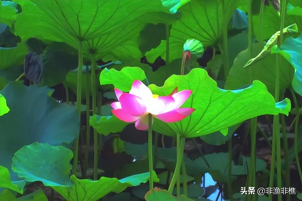 不管和谁交往都要留一个心眼,什么才是正确的交朋友的方法