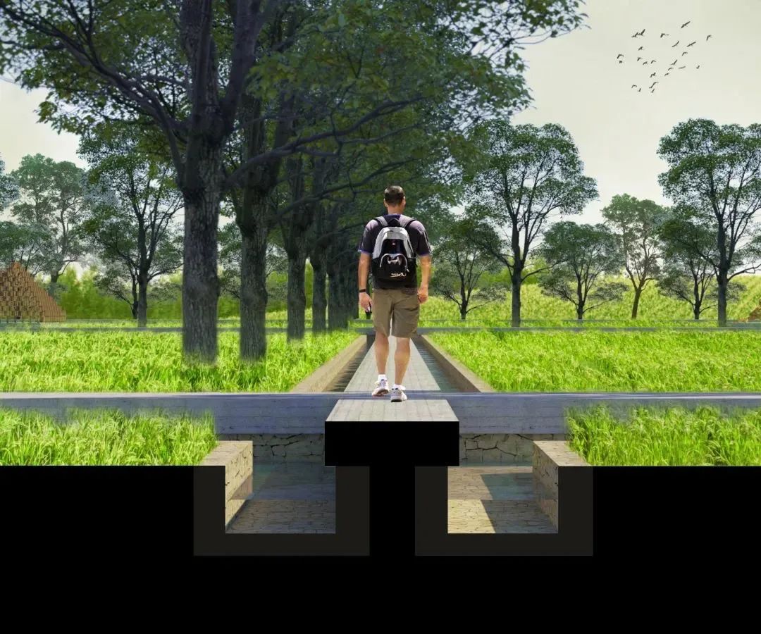 江苏附近景区打卡地点推荐,江苏新晋打卡地