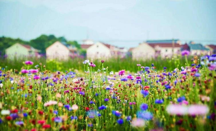 浙沪自驾旅游最佳路线攻略,苏沪杭自驾游玩攻略图