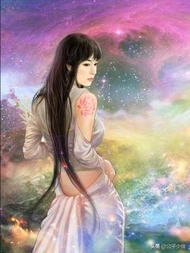 后宫小说女主角解析,后宫小说女主角全解析