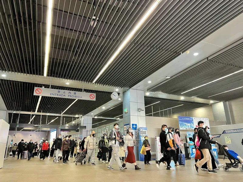 澳门健康申报码没有显示出境,澳门出入境健康证二维码