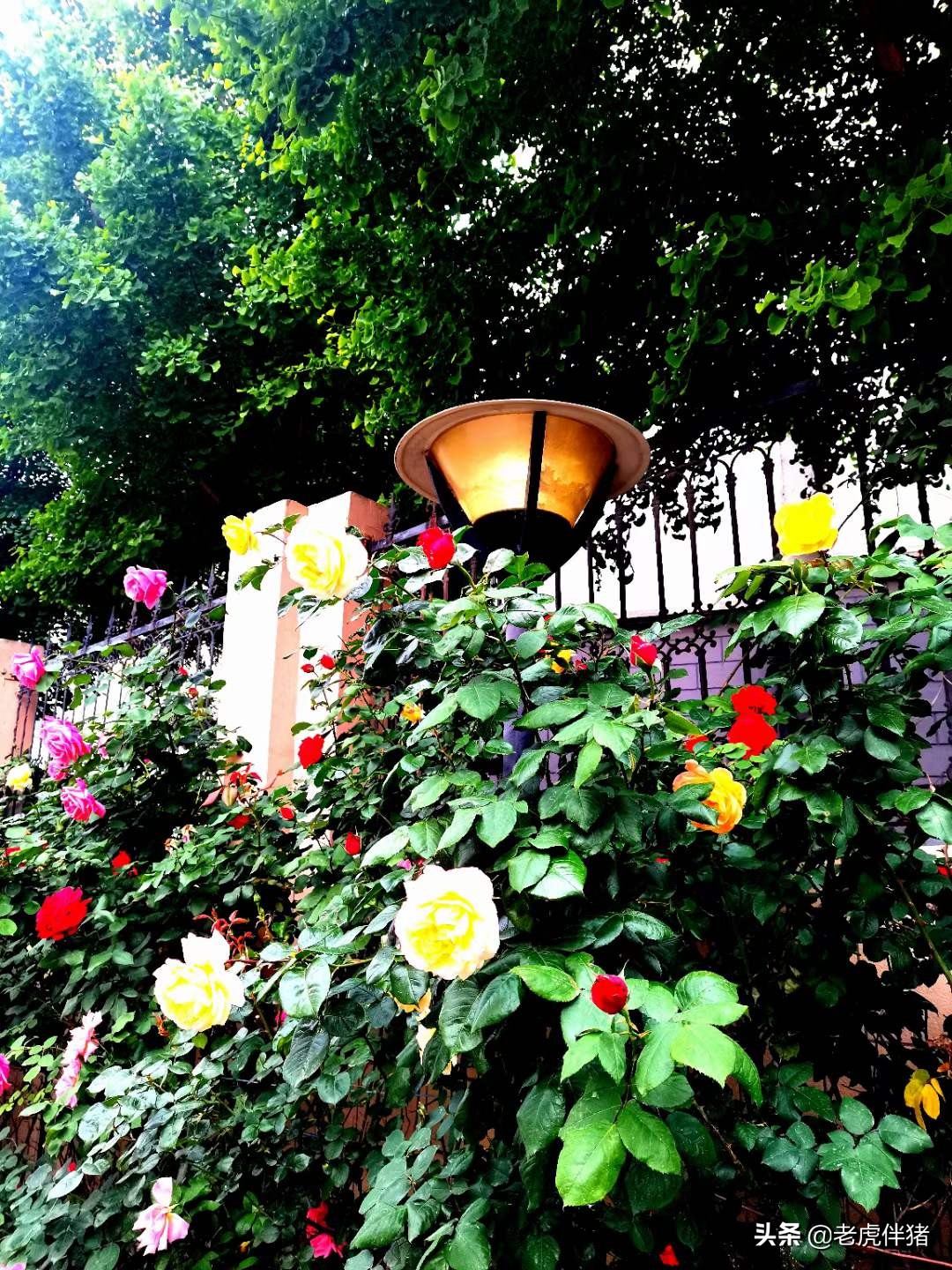 不惑之旅感悟经典句子,人生不惑感悟的句子