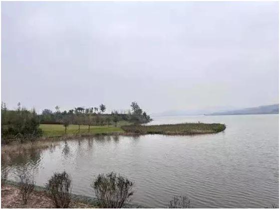 运城盐湖盐保中心,运城市盐保中心净湖行动再加力